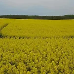 Naturteich-haus *