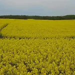 Naturteich-haus