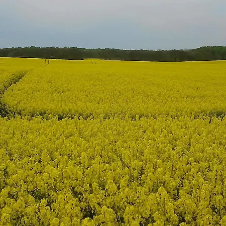 Naturteich-haus Дом отдыха Kalkhorst